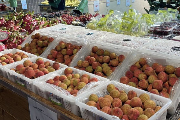 Ngân hàng rao bán khoản nợ &nbsp;gần 500 tỷ đồng của đại gia Đường bia-2