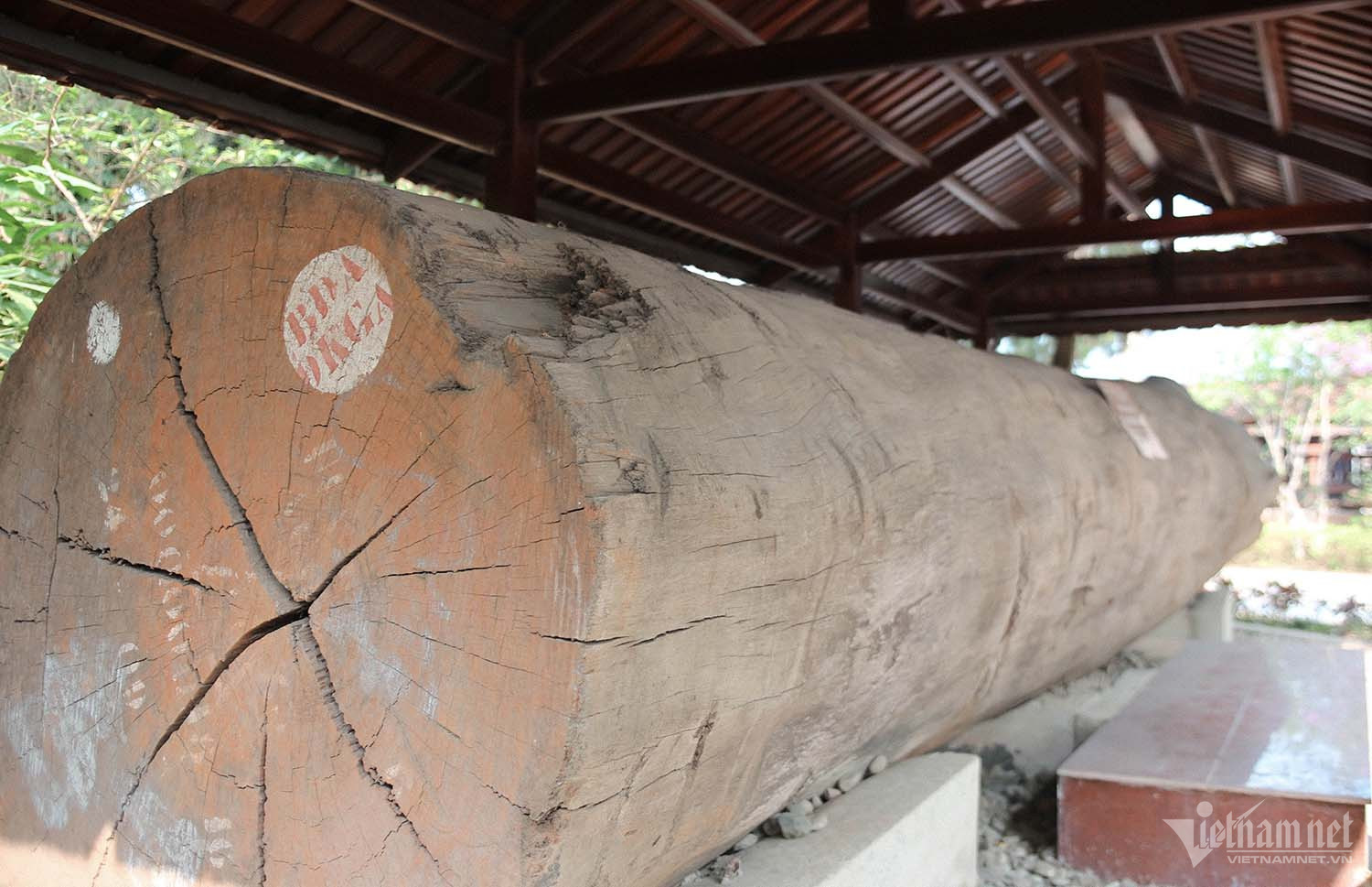 Ngôi nhà sàn được làm từ 500 khối gỗ lim, mất hơn 2 năm mới hoàn tất-10