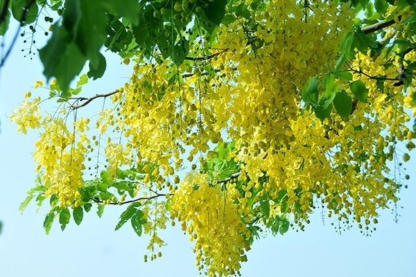 Top 5 đồ vật cấm kỵ đặt trong phòng ngủ nếu không muốn rước họa vào thân-6