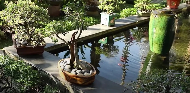 Một hoa hậu ở Mỹ nhưng vẫn giữ biệt thự 450m2 xây 3 năm mới xong tại Việt Nam-2