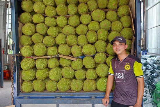 Nghề lạ tại Việt Nam không cần bỏ vốn, kiếm 60 triệu đồng/tháng vẫn hiếm người làm