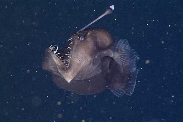 Vừa mở cửa phòng khách sạn, 2 cô gái chứng kiến cảnh đáng sợ-2