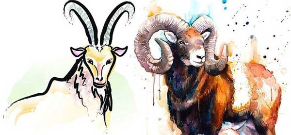 5 cặp con giáp nếu lấy nhau tình tiền dễ tiêu tán, cuộc sống khó ấm êm, hạnh phúc-1