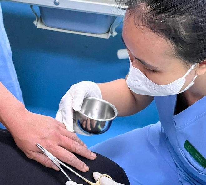 Khách sạn ở Hải Phòng phá tổ ong, 4 người nhập viện-2