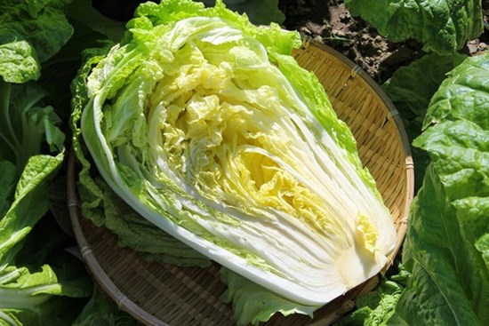 Việt Nam có 3 loại rau được ví như 