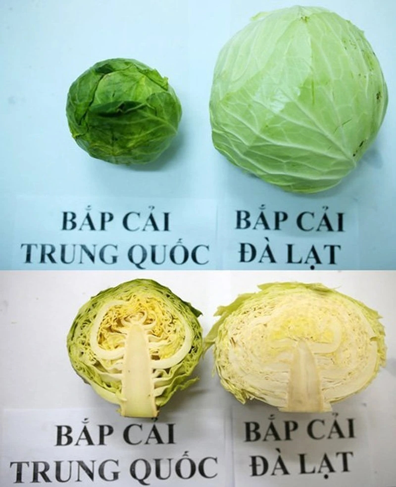 Mẹo phân biệt rau củ Việt Nam và rau củ Trung Quốc-1