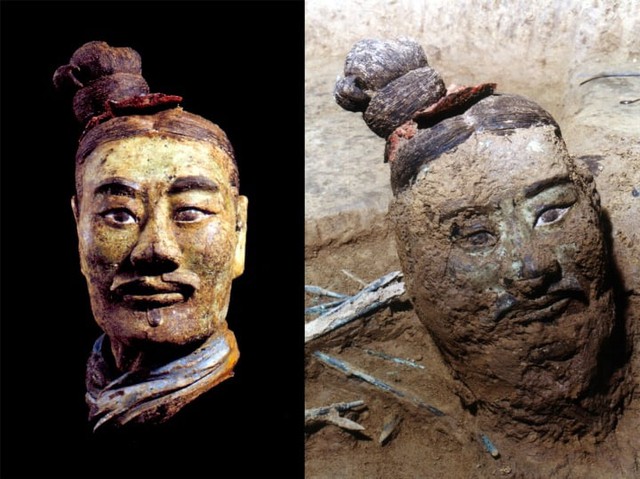 Soi kính hiển vi đội quân đất nung, những bông hoa” màu trắng nở rộ, chuyên gia: Ta đã phạm sai lầm lớn-2