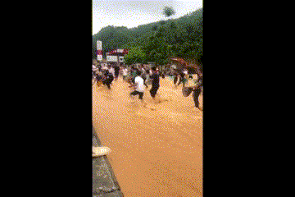 Clip: Người dân nô nức bắt cá trên đường sau trận mưa lớn