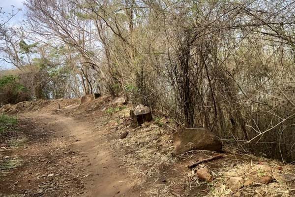 Vụ thi thể cô gái trong va li ở Vũng Tàu: Lời khai ban đầu của 2 nghi phạm-4