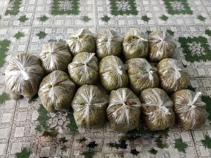 Người dân đi vớt bún sông” đem bán giá hơn 100.000 đồng/kg-3