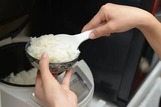 Ăn cơm nguội có gây ung thư?