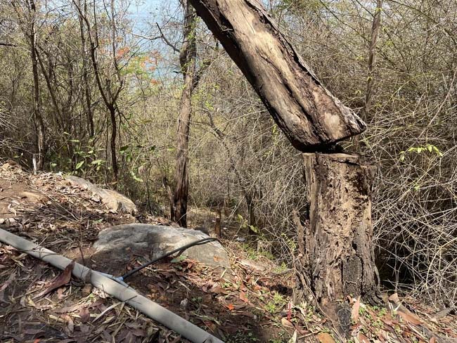 Vụ thi thể cô gái trong va li ở Vũng Tàu: Lời khai ban đầu của 2 nghi phạm-2