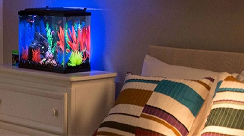 Top 5 đồ vật cấm kỵ đặt trong phòng ngủ nếu không muốn rước họa vào thân-3