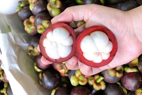 Măng cụt vào mùa, tránh ăn kiểu này kẻo hại sức khỏe-2