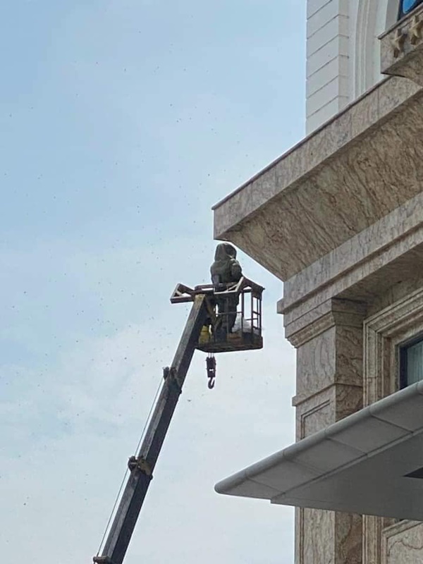 Vụ ong đốt người ở Hải Phòng: Tuyệt đối đừng la hét, đừng xua tay, chuyên gia nói bạn chỉ nên làm duy nhất một điều này-1