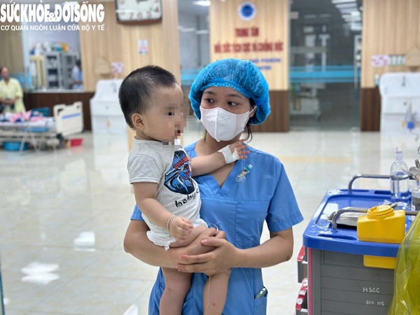 Vụ ong đốt người ở Hải Phòng: Tuyệt đối đừng la hét, đừng xua tay, chuyên gia nói bạn chỉ nên làm duy nhất một điều này-5