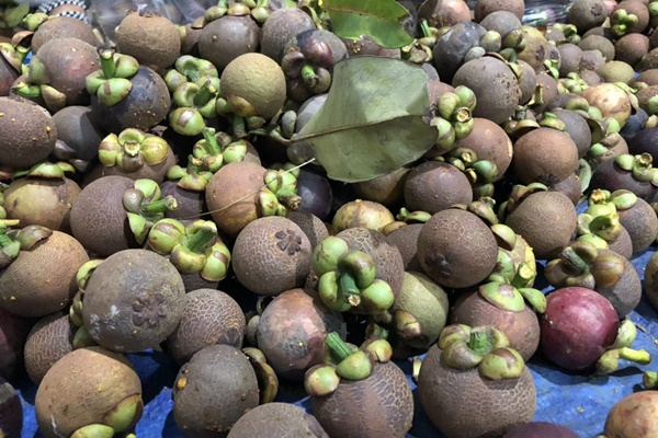 Sau ‘hot trend’, thủ phủ măng cụt rơi vào cảnh mất mùa-1