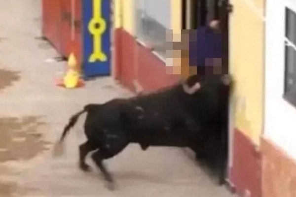 Người đàn ông bị bò húc chết tại lễ hội đua bò Tây Ban Nha-1