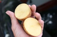 Cách dùng khoai tây để bôi trơn kính xe