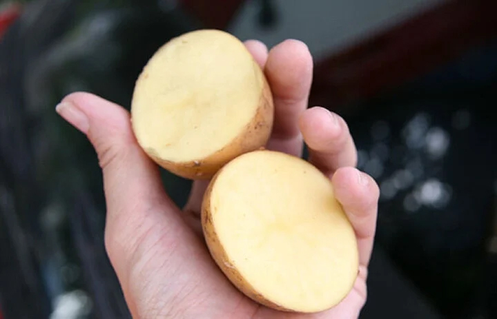 Cách dùng khoai tây để bôi trơn kính xe-1
