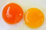 Lòng đỏ trứng gà màu đậm hay nhạt tốt hơn? Sự thật bất ngờ