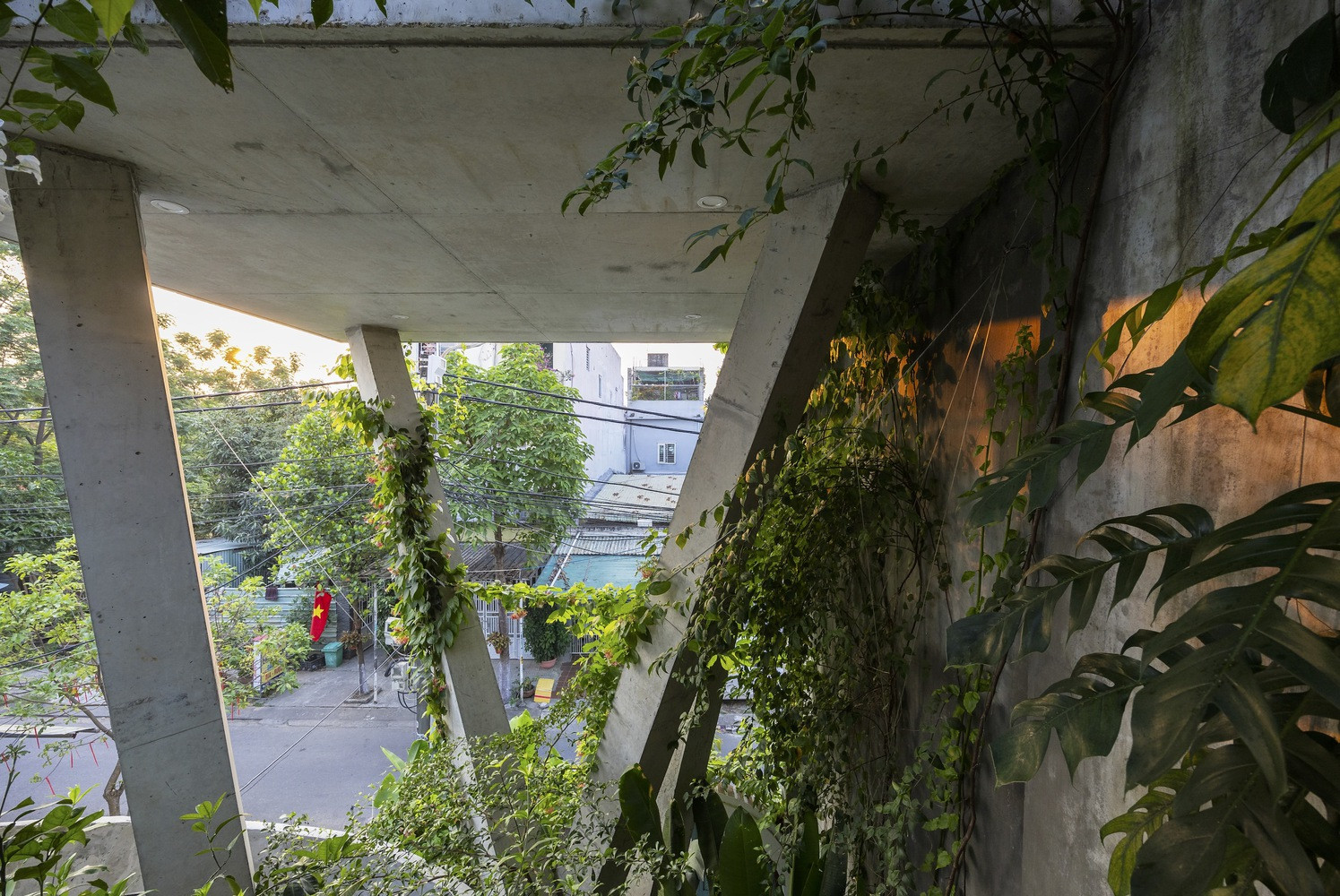 Khám phá ‘tổ chim’ tràn ngập cây xanh của vợ chồng nhà báo-8