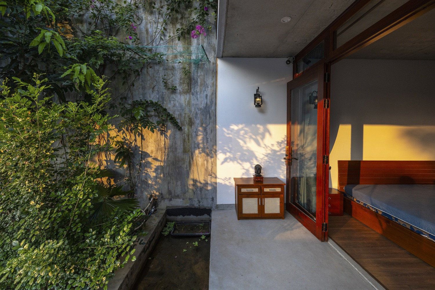 Khám phá ‘tổ chim’ tràn ngập cây xanh của vợ chồng nhà báo-9