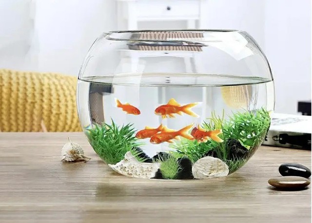 6 quy luật thiên nhiên cha mẹ áp dụng càng sớm con càng thành công sớm-2