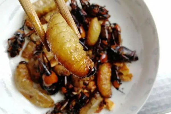 Kỳ lạ loại măng lai” gừng, giá hơn trăm nghìn/kg nhưng có tiền cũng chưa chắc mua được-6