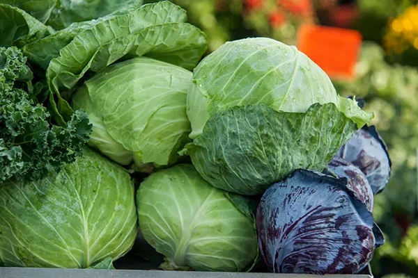 Loại rau vừa giảm mỡ máu vừa giúp hạ huyết áp-1