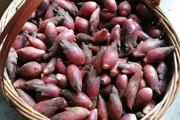 Loại chanh đắt nhất thế giới, ở Việt Nam bán giá ra sao?-6