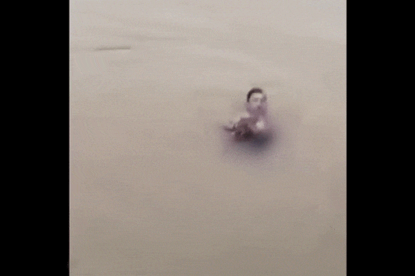 Quý bà ở Hà Nội chi 1,6 tỷ đồng mua túi Hermes, bị lừa sạch-1