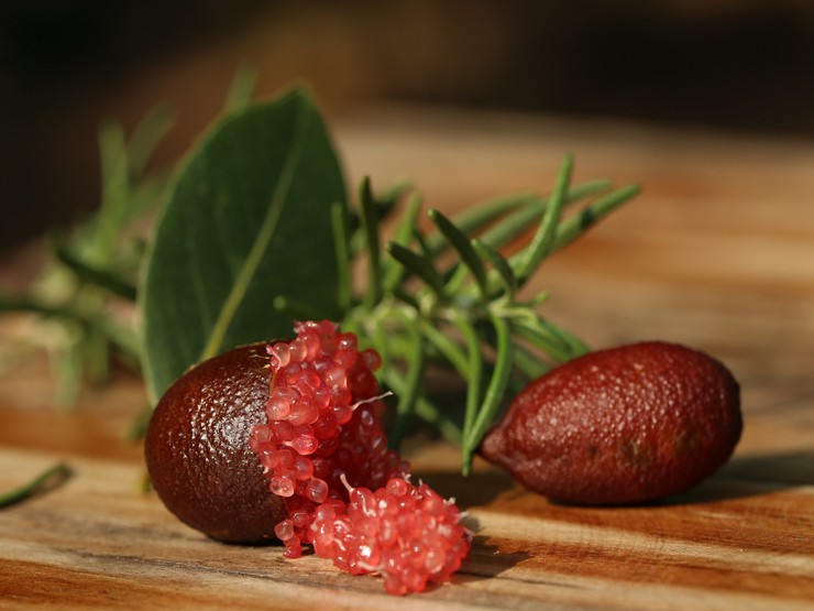 Loại chanh đắt nhất thế giới, ở Việt Nam bán giá ra sao?-1