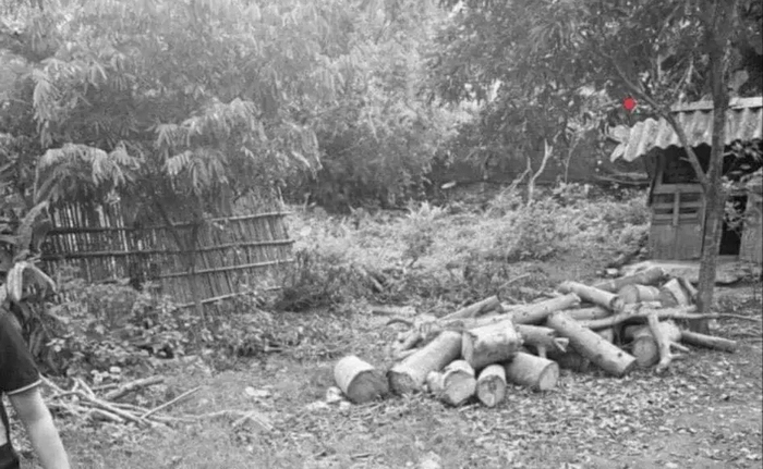 Người đàn ông bị bố đẻ đâm trọng thương, chị dâu lên viện chăm em cũng gặp nạn tử vong-1