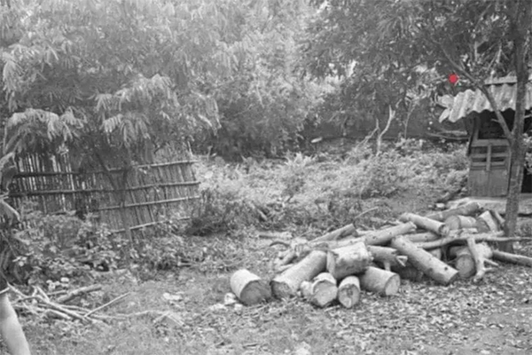 Cận cảnh những biệt thự ma bên vịnh biển đẹp nhất thế giới-12