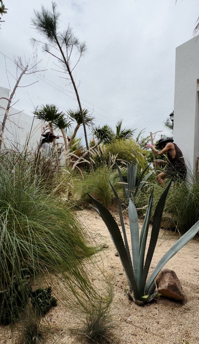 Căn nhà độc lạ của cặp nghệ sĩ vừa bị VTV cắt sóng do xung đột, khóc lóc trên livestream-12