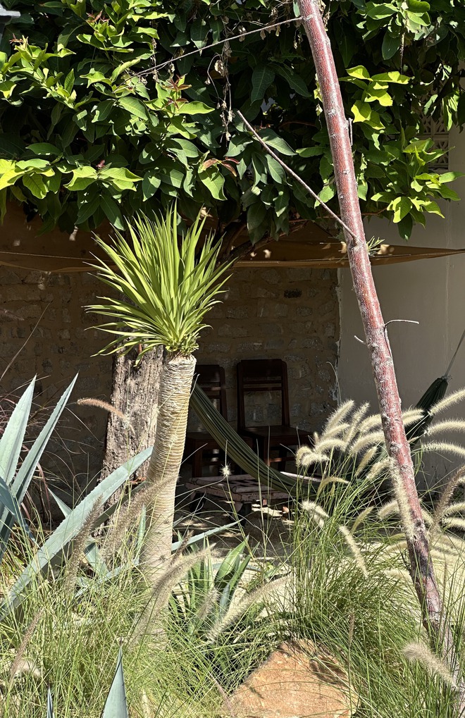 Căn nhà độc lạ của cặp nghệ sĩ vừa bị VTV cắt sóng do xung đột, khóc lóc trên livestream-13