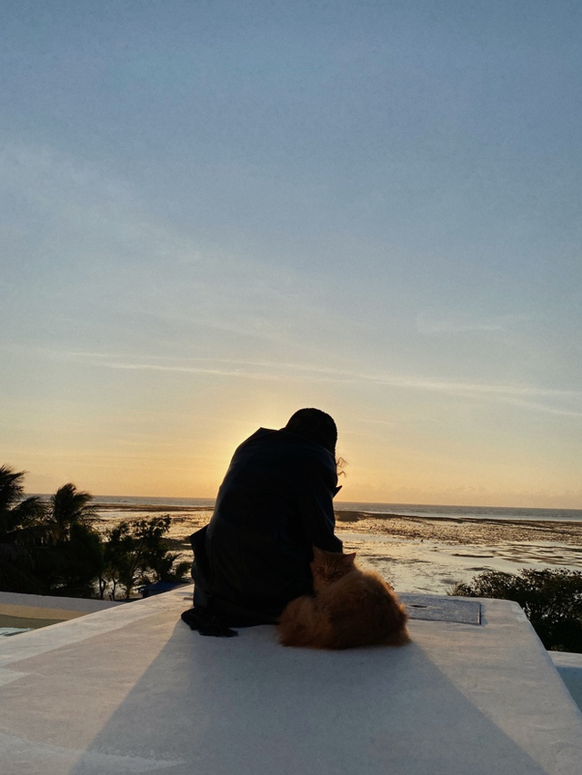 Căn nhà độc lạ của cặp nghệ sĩ vừa bị VTV cắt sóng do xung đột, khóc lóc trên livestream-19