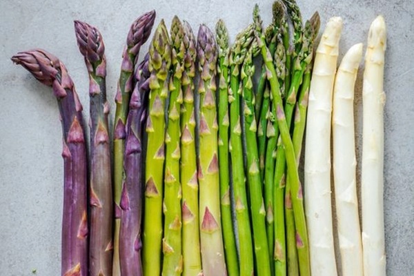 Loại rau nữ hoàng chất đạm”, ngừa ung thư và tốt cho đường ruột, sinh lý-1