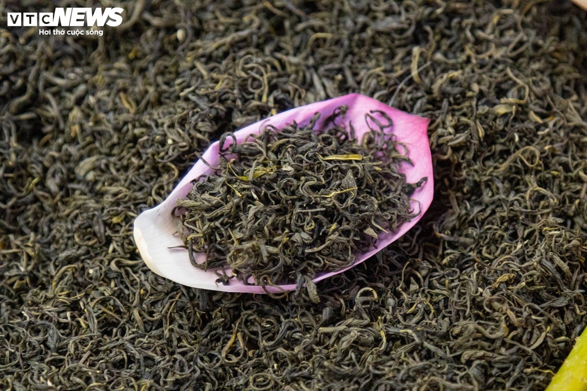 Cận cảnh quy trình ướp loại trà sen đắt đỏ nhất Hà thành, giá chục triệu đồng/kg-10