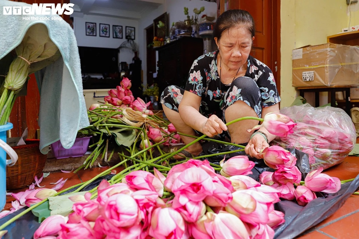 Cận cảnh quy trình ướp loại trà sen đắt đỏ nhất Hà thành, giá chục triệu đồng/kg-4