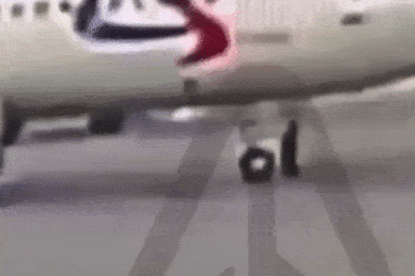 Khoảnh khắc máy bay Airbus A320 di chuyển đâm trúng nhân viên mặt đất