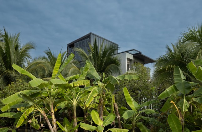 Ngôi nhà con gái xây tặng mẹ với tên gọi ‘nhà đom đóm’-1