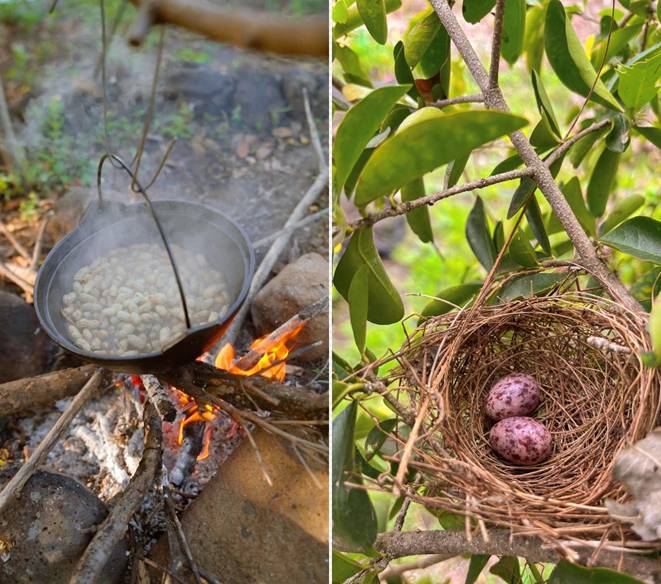 Đôi vợ chồng 9X bỏ phố về quê, chi 100 triệu cải tạo vườn rộng 10.000m2 vừa có ao vừa có suối-4