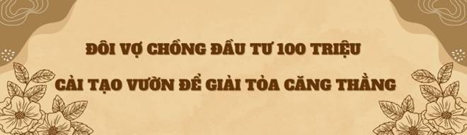 Đôi vợ chồng 9X bỏ phố về quê, chi 100 triệu cải tạo vườn rộng 10.000m2 vừa có ao vừa có suối-5