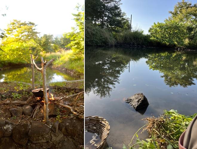 Đôi vợ chồng 9X bỏ phố về quê, chi 100 triệu cải tạo vườn rộng 10.000m2 vừa có ao vừa có suối-6