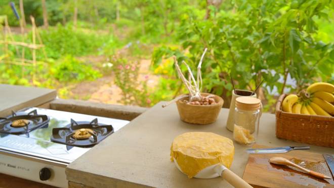 Đôi vợ chồng 9X bỏ phố về quê, chi 100 triệu cải tạo vườn rộng 10.000m2 vừa có ao vừa có suối-7