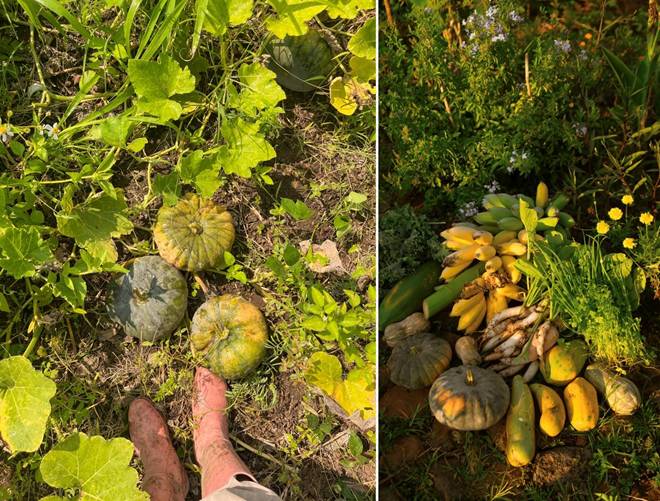 Đôi vợ chồng 9X bỏ phố về quê, chi 100 triệu cải tạo vườn rộng 10.000m2 vừa có ao vừa có suối-12