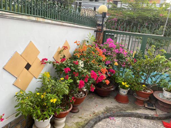 Cẩm Ly tiết lộ điều kỳ lạ trong biệt thự: Lạ lùng lắm, tôi không thể hiểu-29