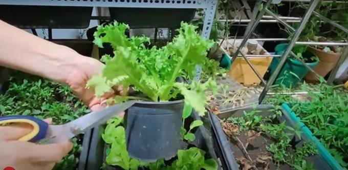 Cẩm Ly tiết lộ điều kỳ lạ trong biệt thự: Lạ lùng lắm, tôi không thể hiểu-21